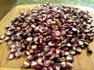 Seriously beautiful corn!