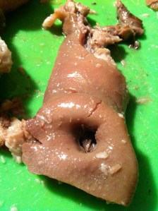 Walking the Snout to Tail walk.